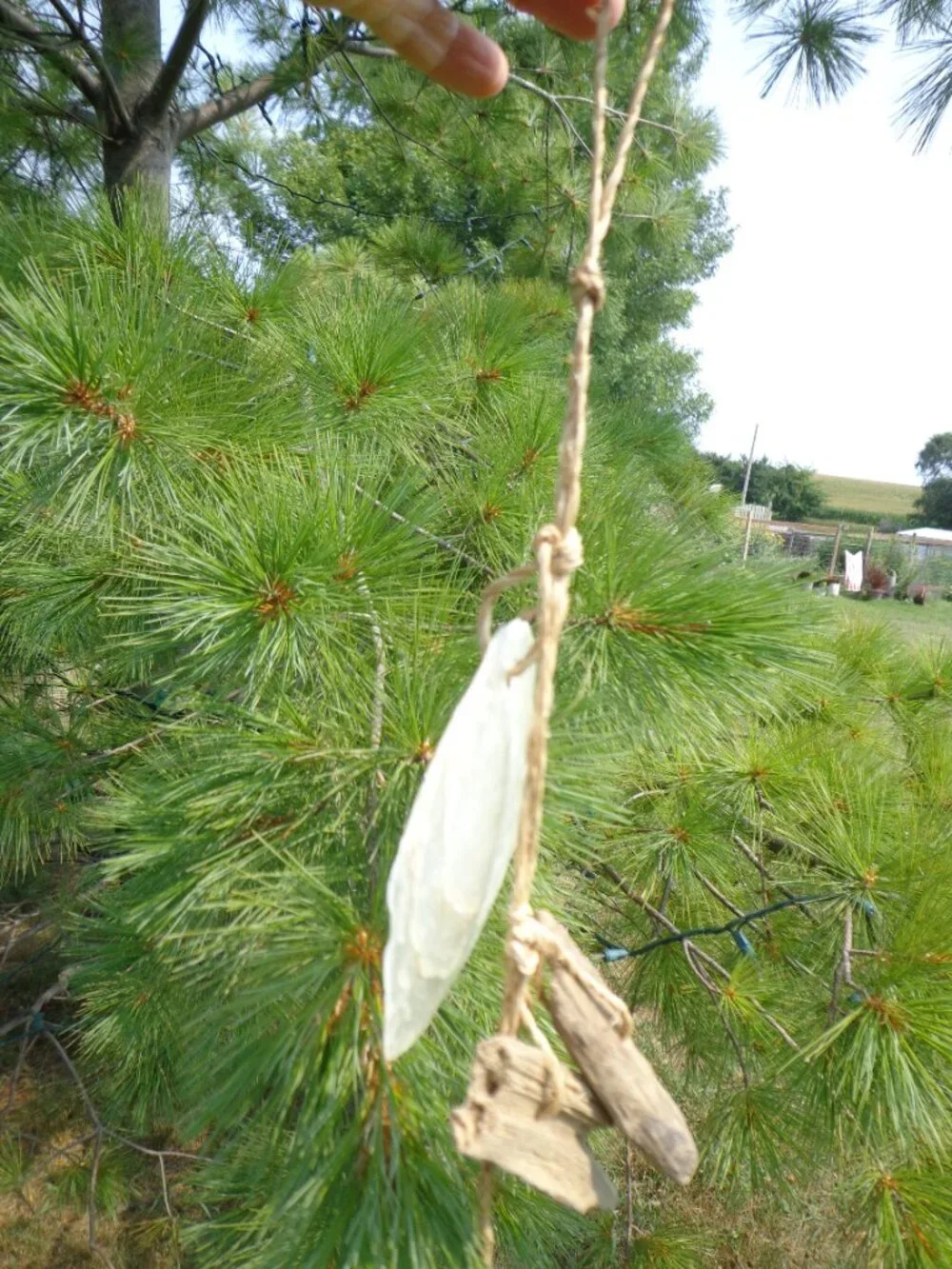 NEW! Shell Wind Chime Driftwood/Capiz Sea Shells 51
